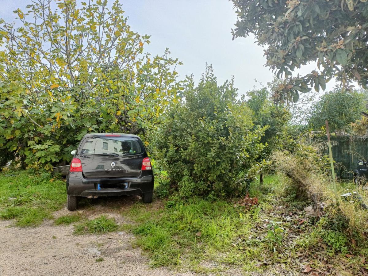 Un Bel Appartement Rez Jardin Parking Gratuit Ванс Екстериор снимка